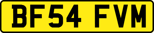 BF54FVM