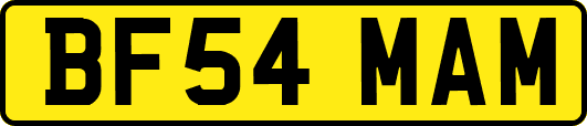BF54MAM