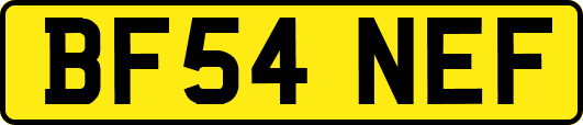 BF54NEF