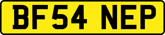 BF54NEP