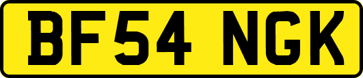 BF54NGK