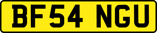 BF54NGU
