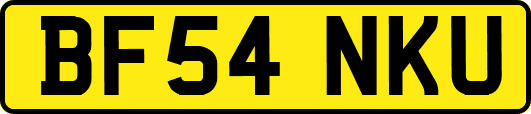 BF54NKU