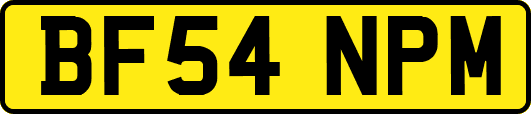 BF54NPM