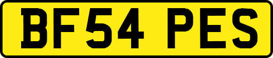 BF54PES