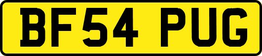 BF54PUG