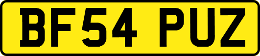 BF54PUZ