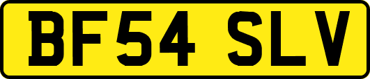 BF54SLV