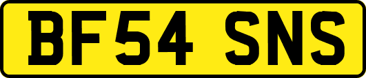 BF54SNS