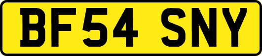 BF54SNY