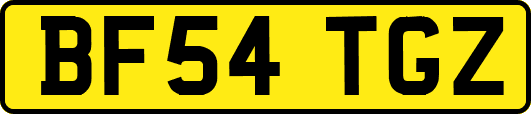 BF54TGZ