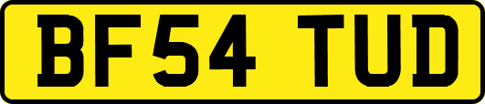 BF54TUD