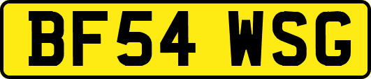 BF54WSG