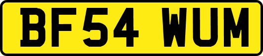 BF54WUM