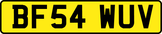 BF54WUV