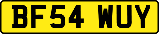 BF54WUY