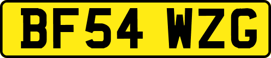 BF54WZG