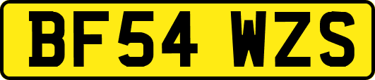 BF54WZS