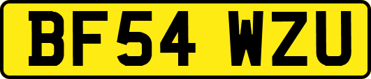 BF54WZU