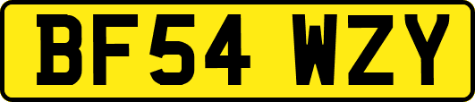 BF54WZY
