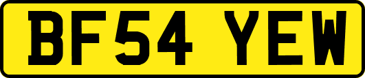 BF54YEW
