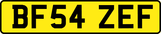 BF54ZEF