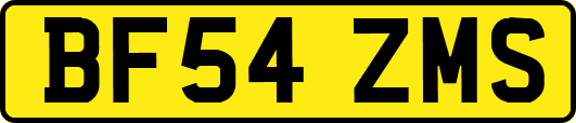 BF54ZMS
