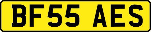 BF55AES