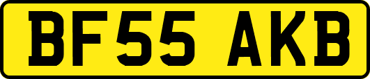 BF55AKB