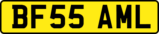 BF55AML