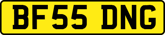 BF55DNG