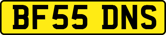 BF55DNS