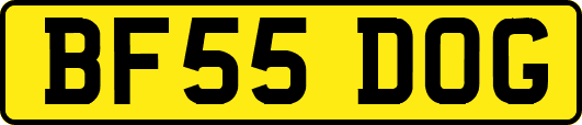 BF55DOG