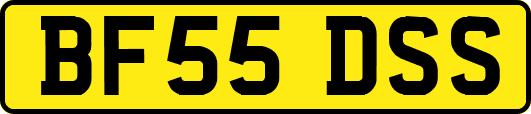 BF55DSS