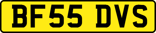 BF55DVS