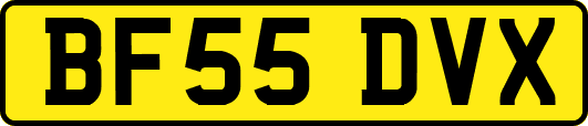 BF55DVX