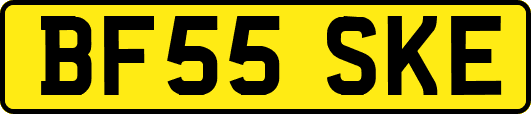 BF55SKE