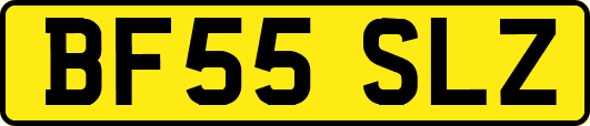 BF55SLZ