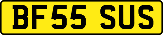 BF55SUS
