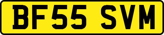 BF55SVM