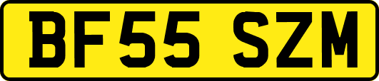 BF55SZM