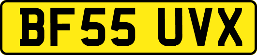 BF55UVX