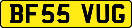 BF55VUG