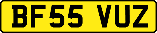 BF55VUZ