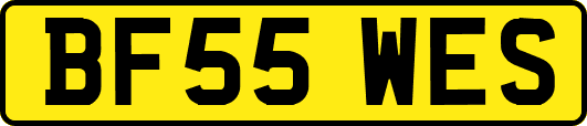 BF55WES