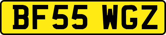 BF55WGZ