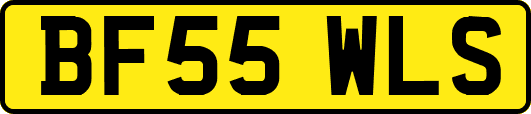 BF55WLS