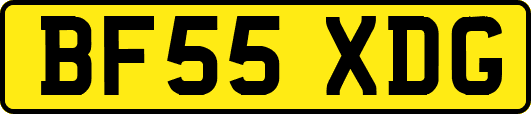 BF55XDG