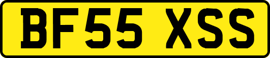 BF55XSS