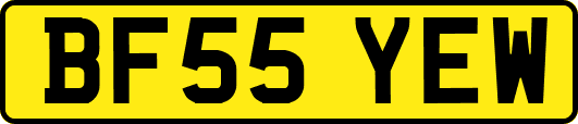 BF55YEW